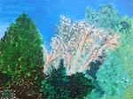 landscape-thumb